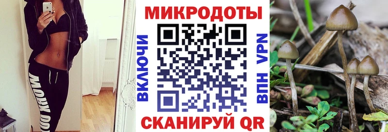 Галлюциногенные грибы мухоморы  Камызяк 