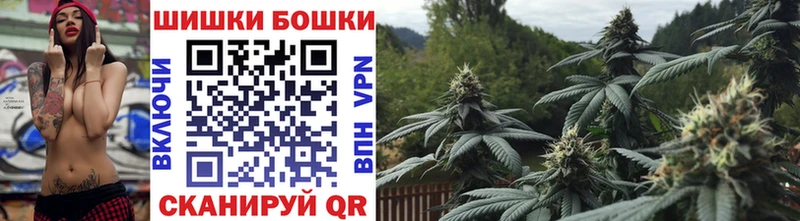 где можно купить   Камызяк  Шишки марихуана тримм 